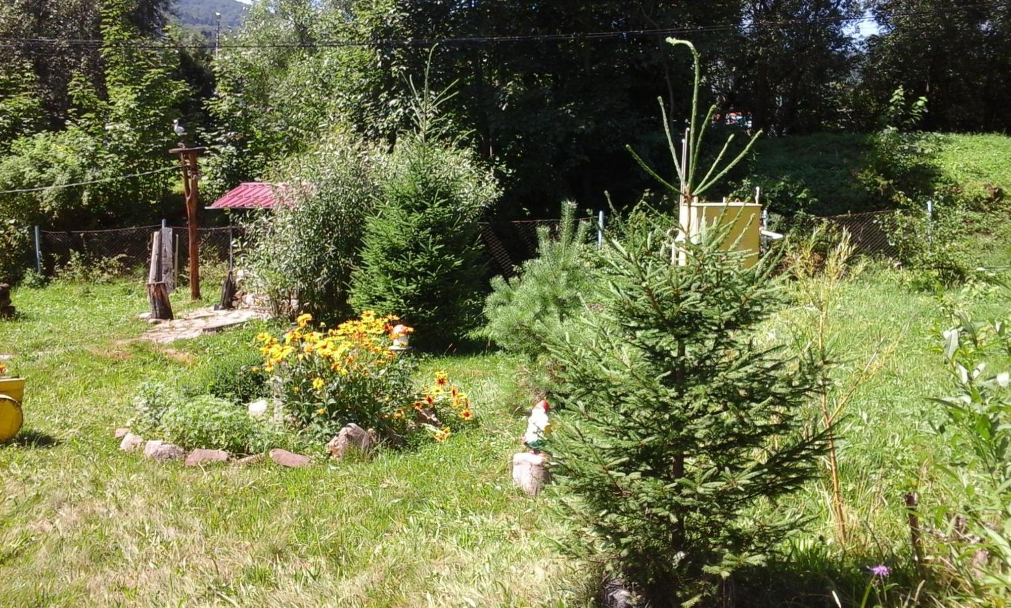 U Pana Ivana Yaremche Room photo